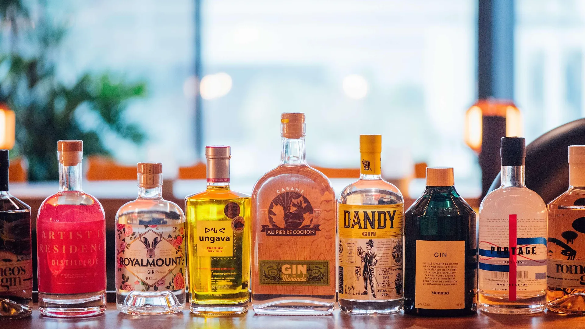 酒店 蒙特利尔希尔顿逸林酒店